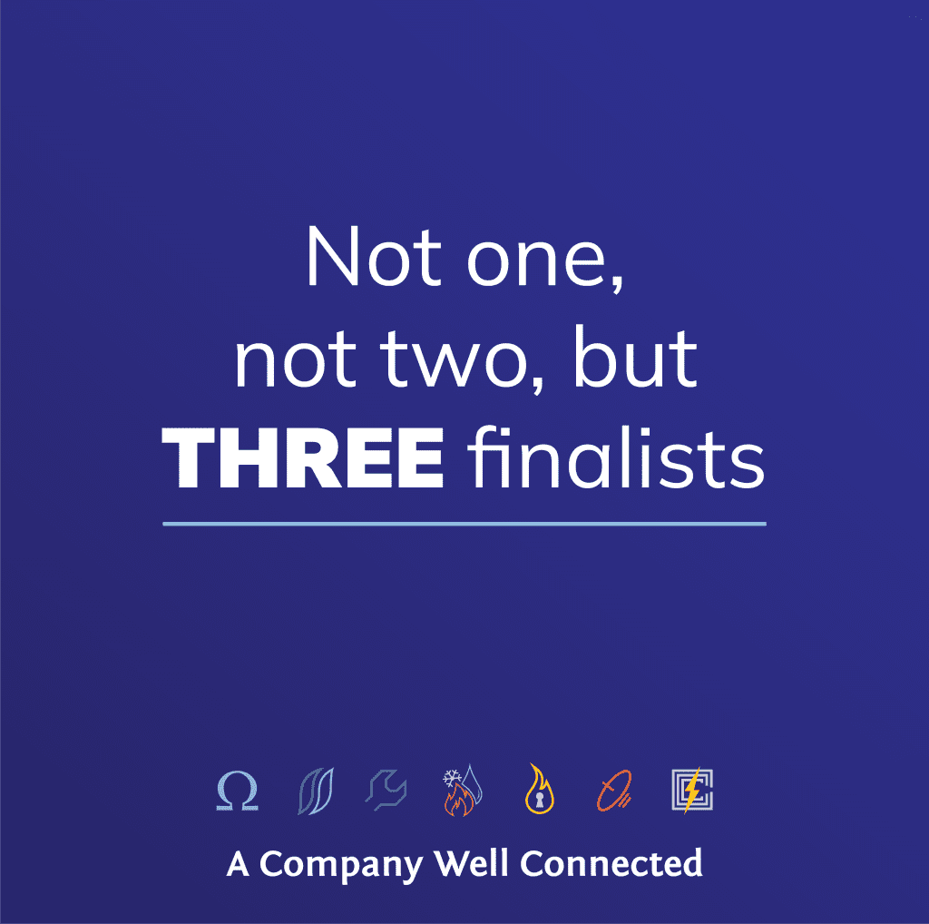 not one, not two, but three electrician finalists