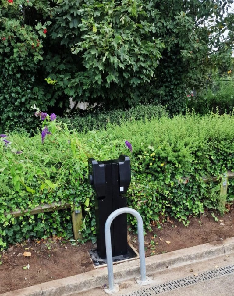 Maximising Business Potential