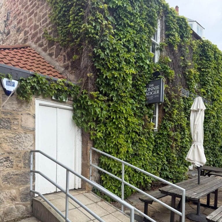 Fire & Security maintenance and monitoring for Bonnie Badger Pub